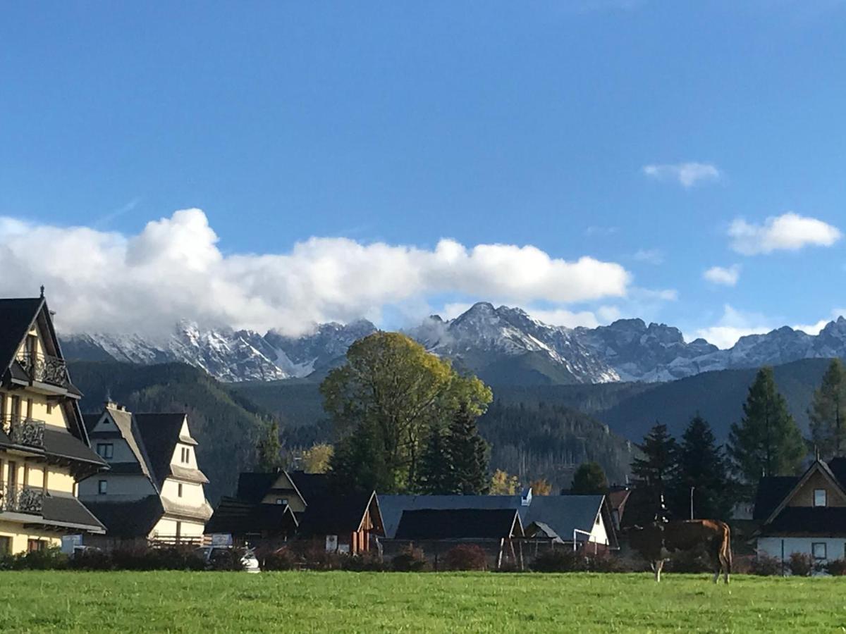 Apartment A1willa Skoczek Poludniowy 2 Pokojowy Z Aneks Kuchenny Promocja Na Termach Dla 2 Osob Gratis Zakopane
