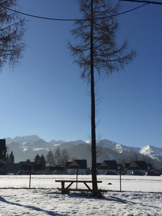 Apartment A1willa Skoczek Poludniowy 2 Pokojowy Z Aneks Kuchenny Promocja Na Termach Dla 2 Osob Gratis Zakopane