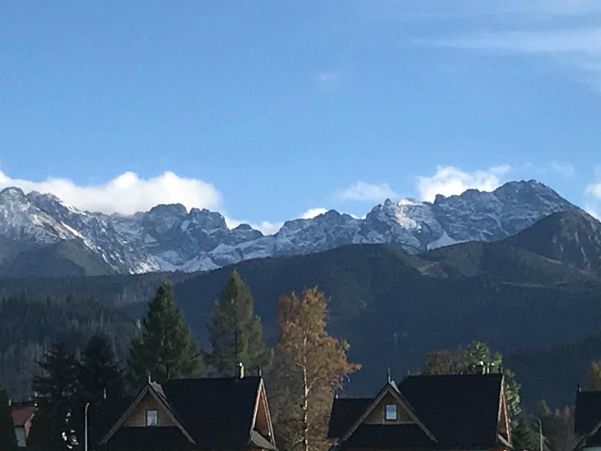 A1willa Skoczek Poludniowy 2 Pokojowy Z Aneks Kuchenny Promocja Na Termach Dla 2 Osob Gratis Apartment Zakopane