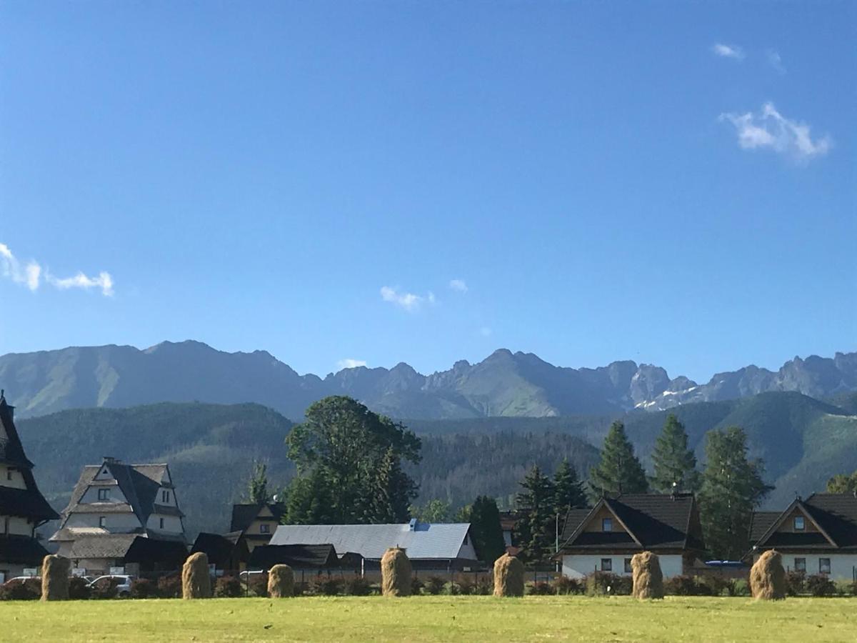 A1willa Skoczek Poludniowy 2 Pokojowy Z Aneks Kuchenny Promocja Na Termach Dla 2 Osob Gratis Zakopane