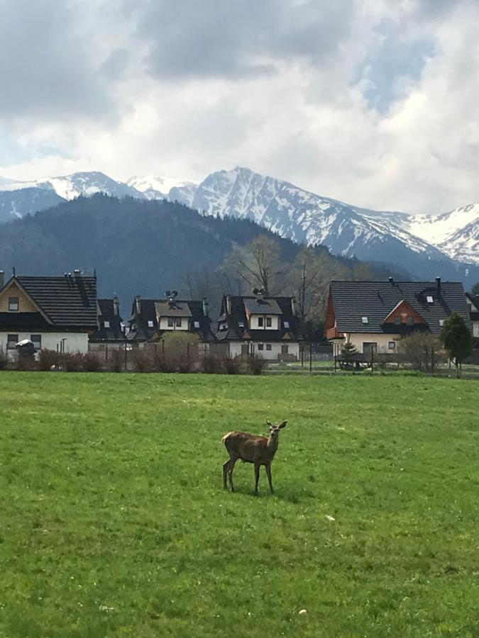 A1willa Skoczek Poludniowy 2 Pokojowy Z Aneks Kuchenny Promocja Na Termach Dla 2 Osob Gratis * Zakopane