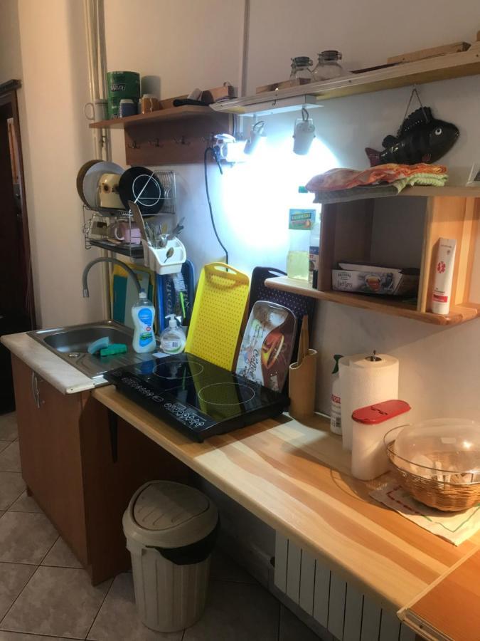 Skoczek Południowy Z Widokiem Na Całe Tatry Aneks Kuchenny Uwaga Promocja Na Basenie Termalnym W Cenie Pokoju