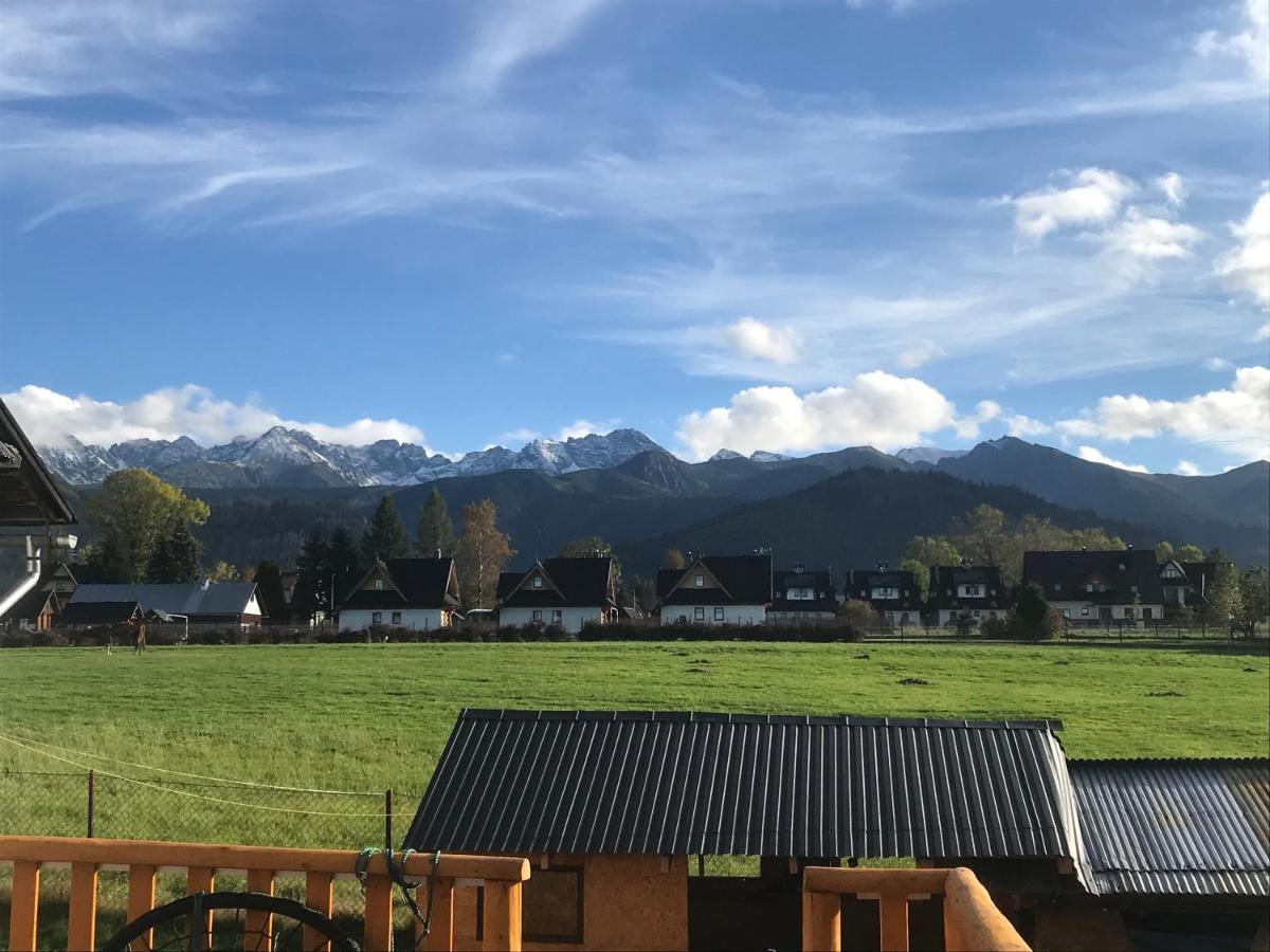 Apartament Skoczek Południowy Z Widokiem Na Całe Tatry Aneks Kuchenny Uwaga Promocja Na Basenie Termalnym W Cenie Pokoju Zakopane